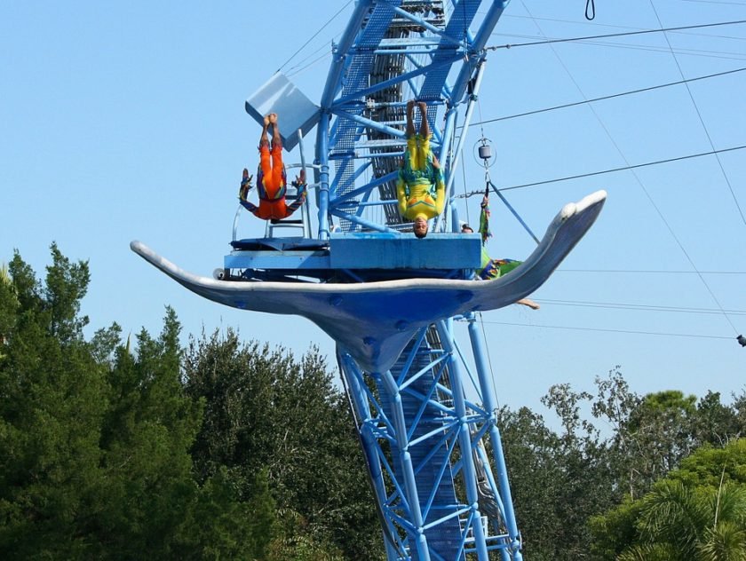 Le plongeon 