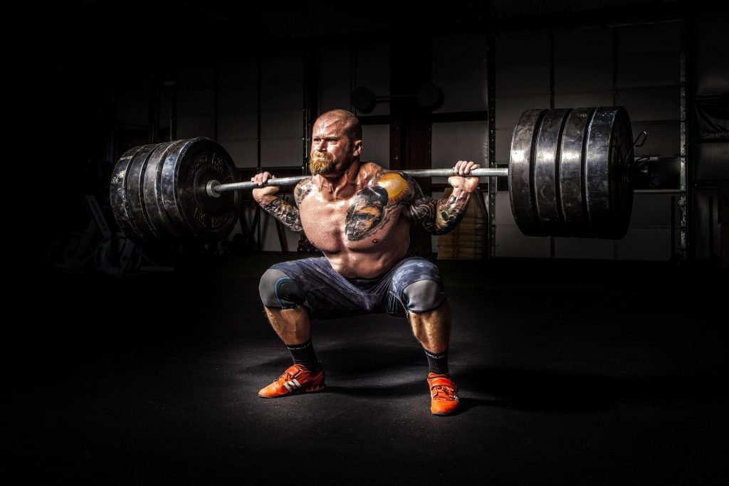 Musculation
